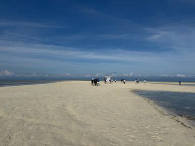 상품-리뷰-이미지