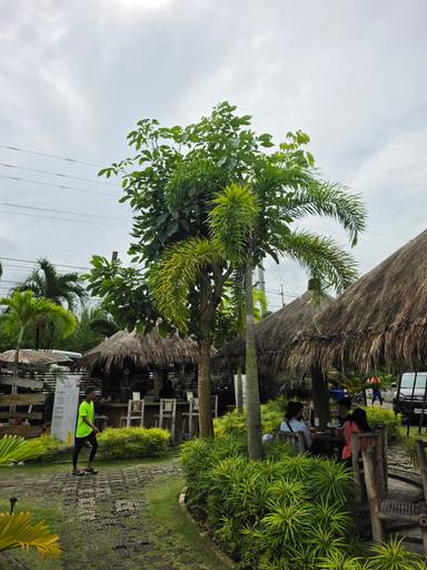 상품-리뷰-이미지