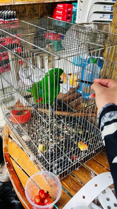 상품-리뷰-이미지