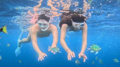 상품-리뷰-이미지