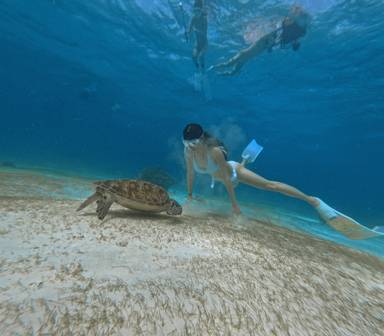 상품-리뷰-이미지