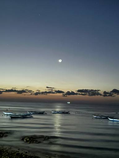 상품-리뷰-이미지