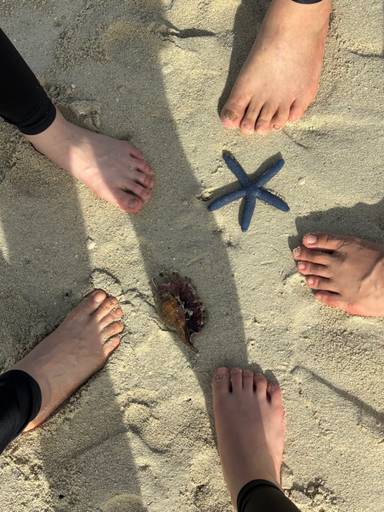 상품-리뷰-이미지