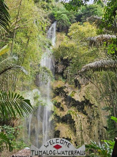 상품-리뷰-이미지