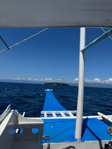 상품-리뷰-이미지