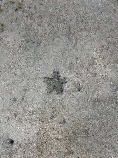 상품-리뷰-이미지