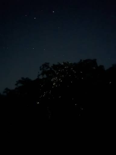 상품-리뷰-이미지