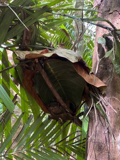 상품-리뷰-이미지