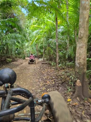 상품-리뷰-이미지