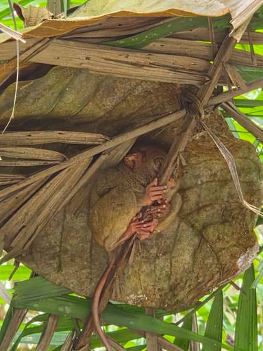 상품-리뷰-이미지