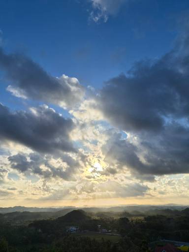 상품-리뷰-이미지