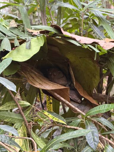 상품-리뷰-이미지