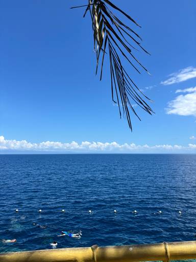 상품-리뷰-이미지