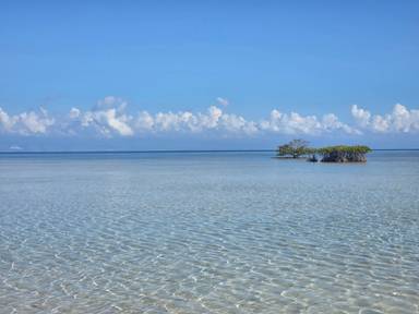 상품-리뷰-이미지