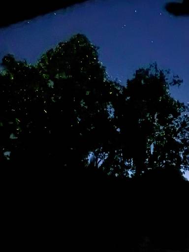 상품-리뷰-이미지