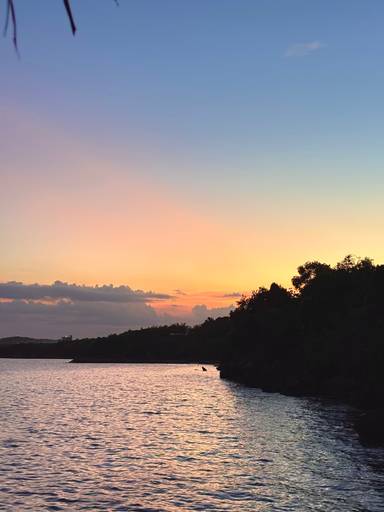 상품-리뷰-이미지