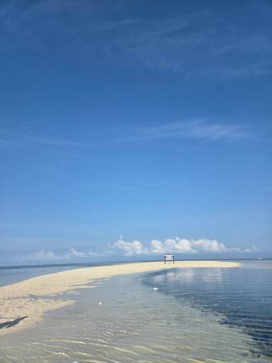 상품-리뷰-이미지