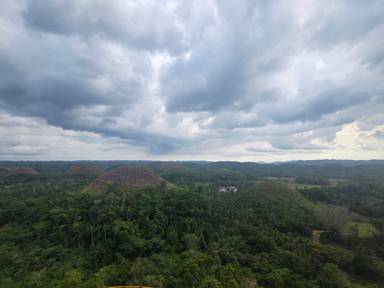 상품-리뷰-이미지