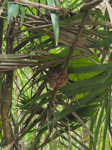 상품-리뷰-이미지