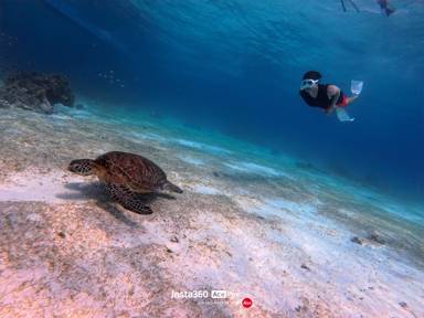 상품-리뷰-이미지