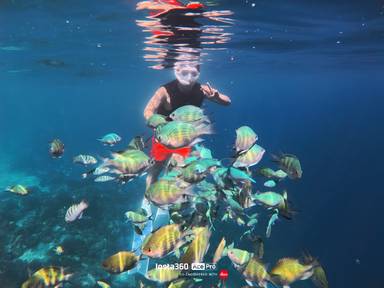 상품-리뷰-이미지