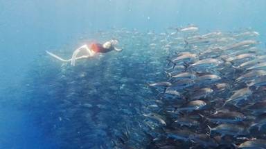 상품-리뷰-이미지