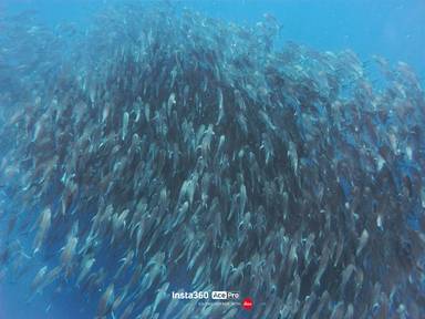 상품-리뷰-이미지