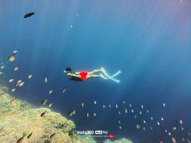 상품-리뷰-이미지