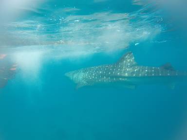 상품-리뷰-이미지