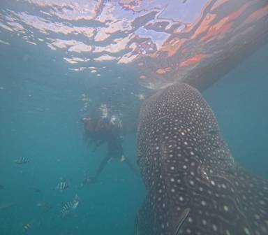 상품-리뷰-이미지