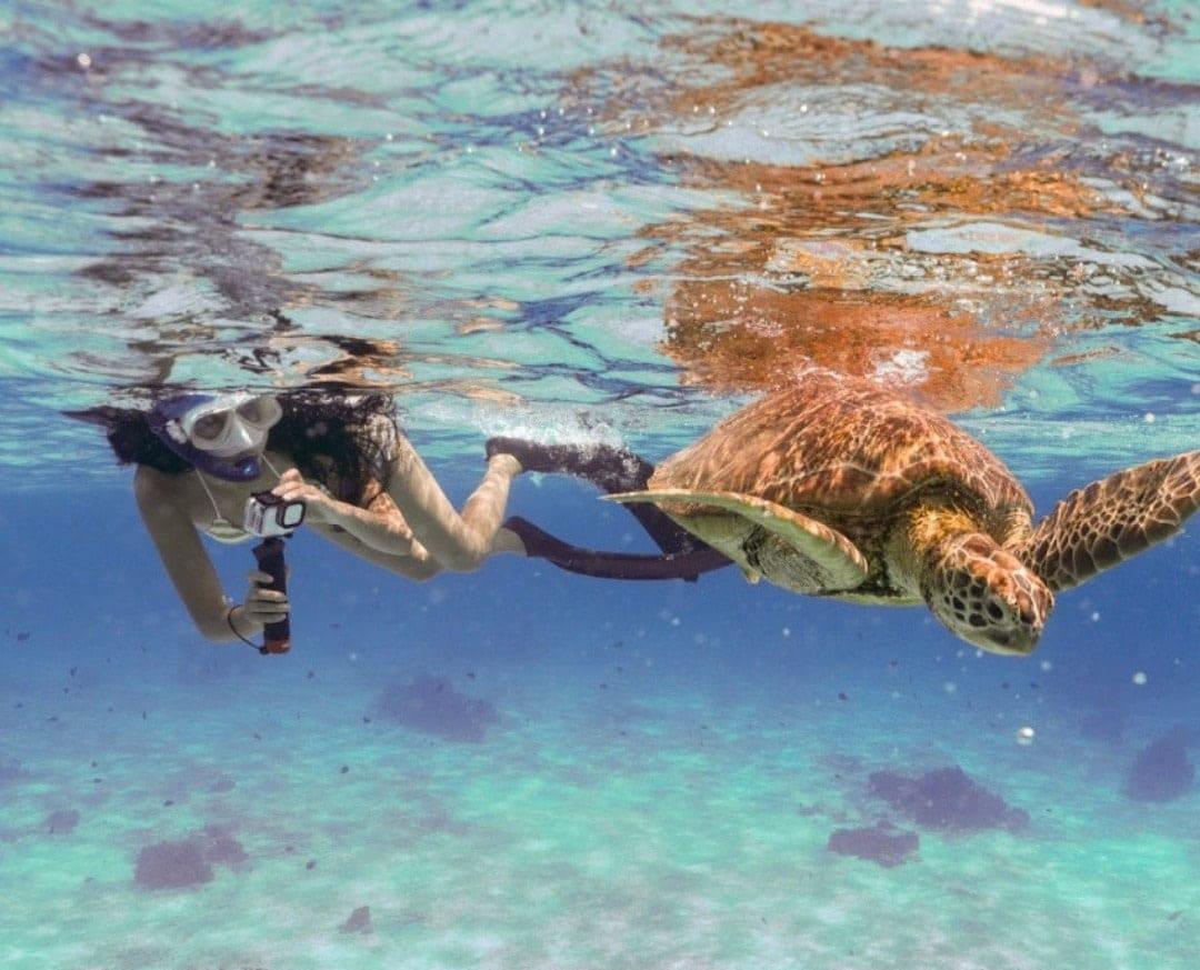 투어-큐레이션-이미지