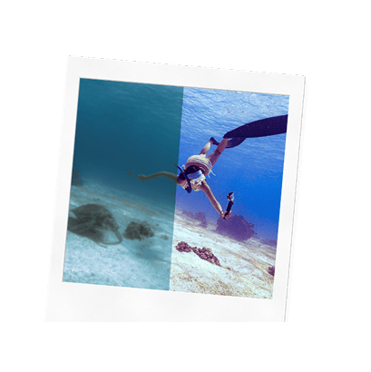 투어-배너-이미지