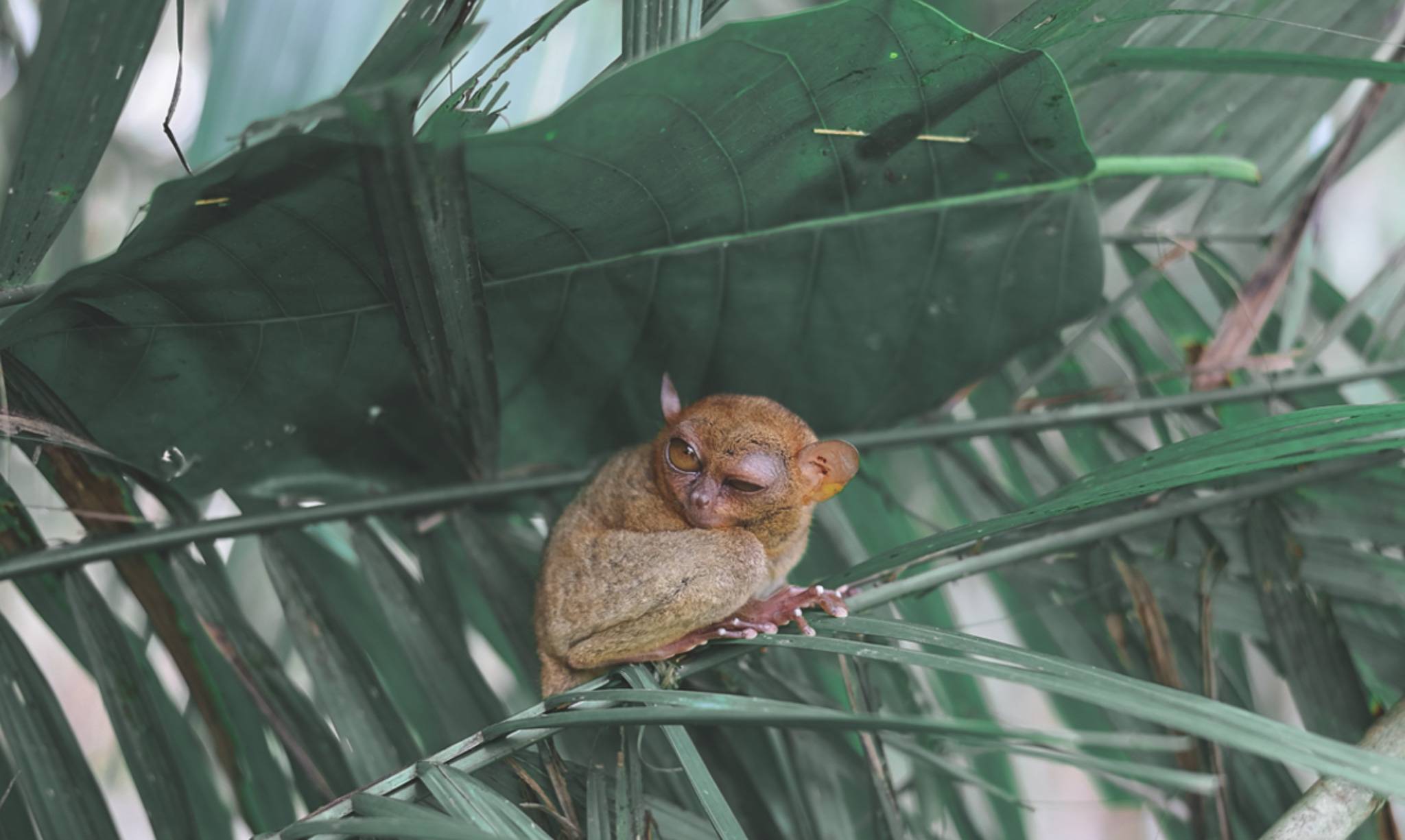 제품-갤러리-이미지