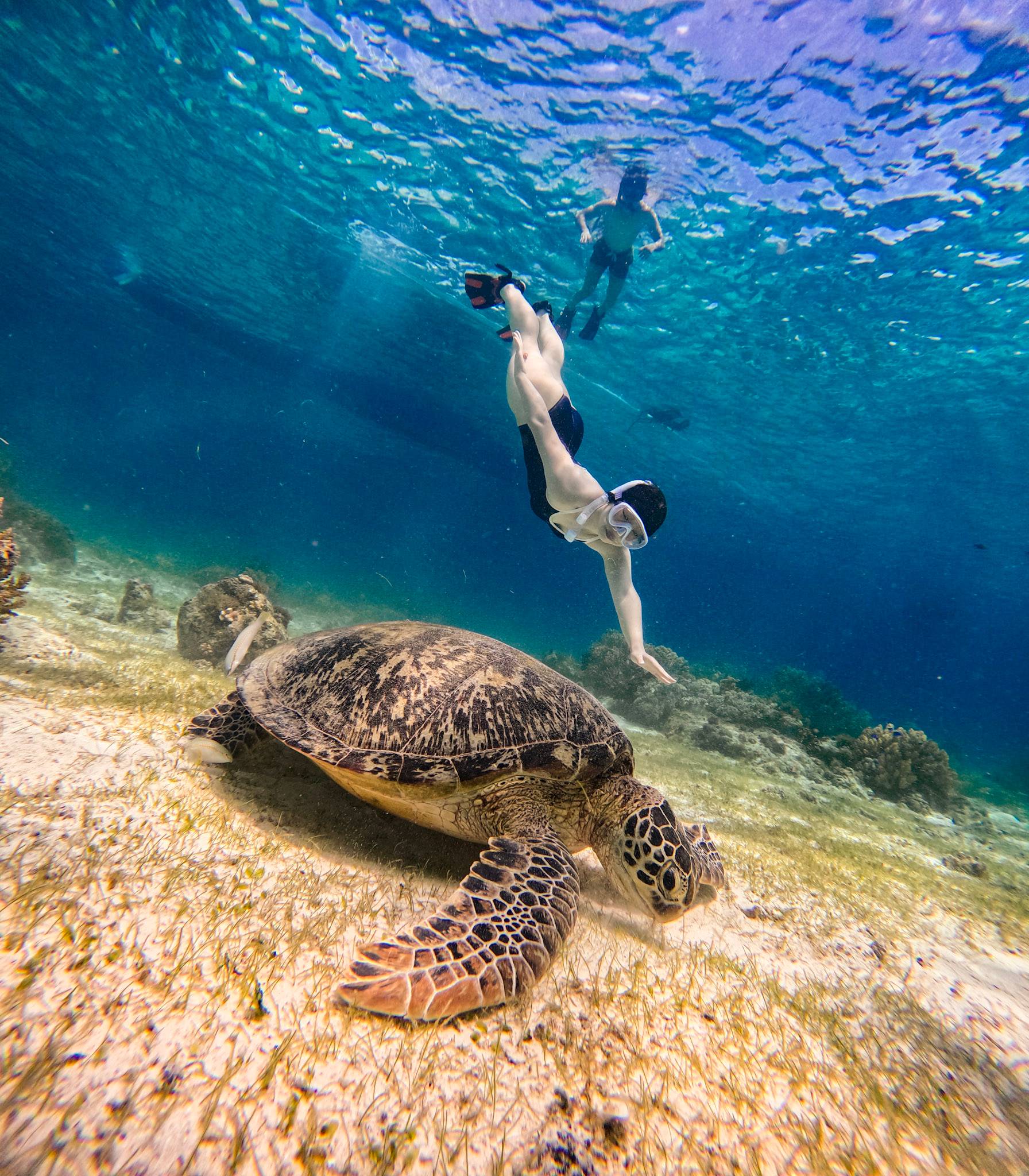 제품-갤러리-이미지