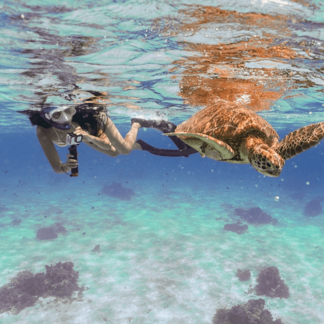 제품-갤러리-이미지