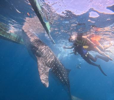 상품-리뷰-이미지